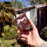 Criquets cacao dans le main