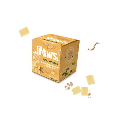 Mehlwürmer Comté & Muskatnuss 15g – gourmet Insektensnack