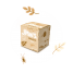 Grillen Natur 20g – knuspriger Insektensnack