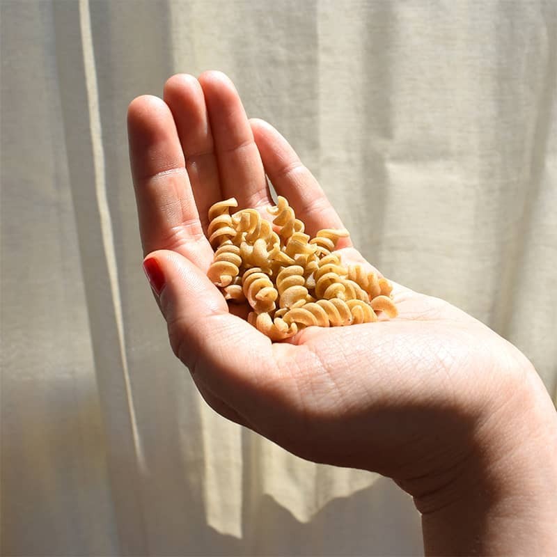 Pack 1kg fusilli albahaca, la pasta enriquecida con harina de insectos