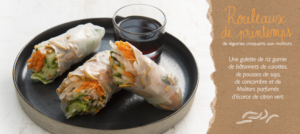 Recette des rouleaux de printemps aux molitors